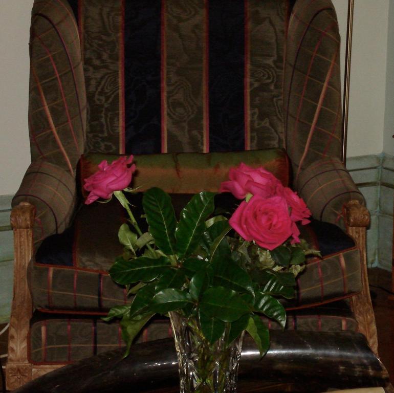 Bed and Breakfast Cotter House Luxury Retreat à Auckland Extérieur photo